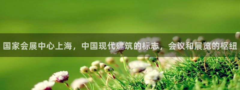 果博公司游戏网址：国家会展中心上海，中国现代建筑的标志，会议和展览的枢纽
