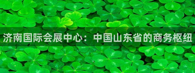 苹果手机能下载果博吗：济南国际会展中心：中国山东省的商务枢纽