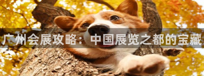 果博公司：广州会展攻略：中国展览之都的宝藏