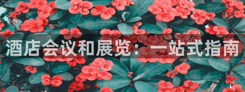 果博官方热线：酒店会议和展览：一站式指南