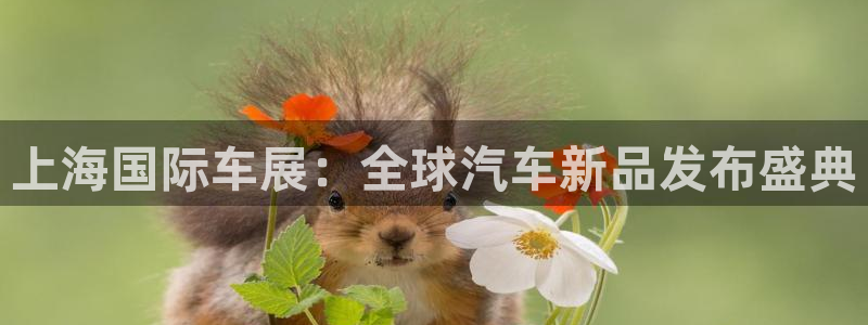 果博注册客服电话：上海国际车展：全球汽车新品发布盛典