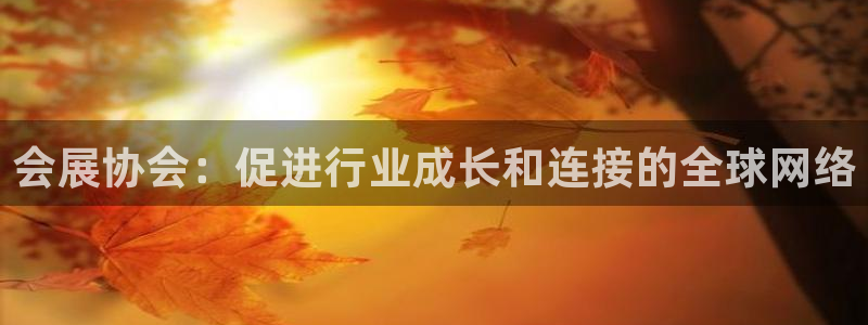 果博注册会员要钱吗：会展协会：促进行业成长和连接的全球网络