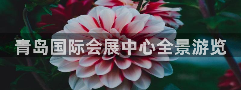 果博官网首页：青岛国际会展中心全景游览