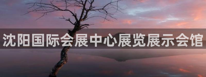 果博注册充值：沈阳国际会展中心展览展示会馆
