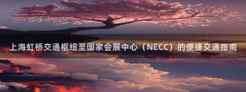 果博公司会员怎么开户：上海虹桥交通枢纽至国家会展中心（NECC）的便捷交通指南