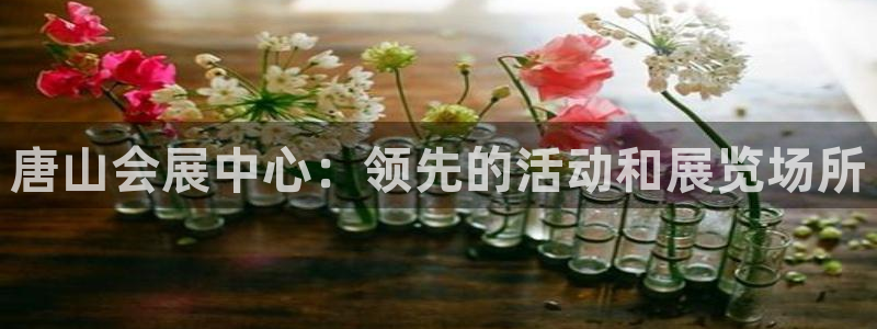 果博官网客服电话号码查询：唐山会展中心：领先的活动和展览场所