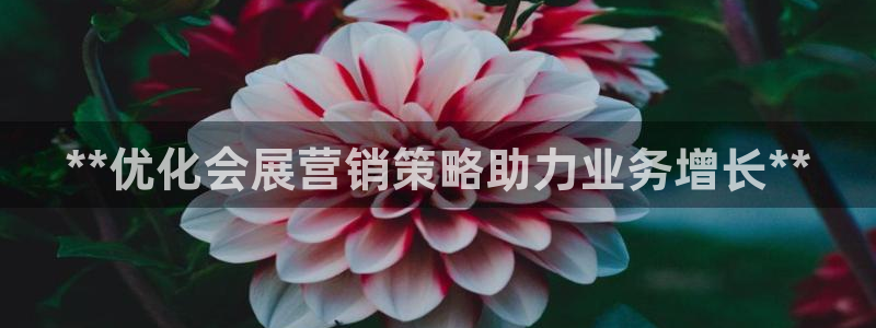 果博公司客服微信：**优化会展营销策略助