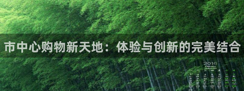 果博注册平台怎么注册账号：市中心购物新天