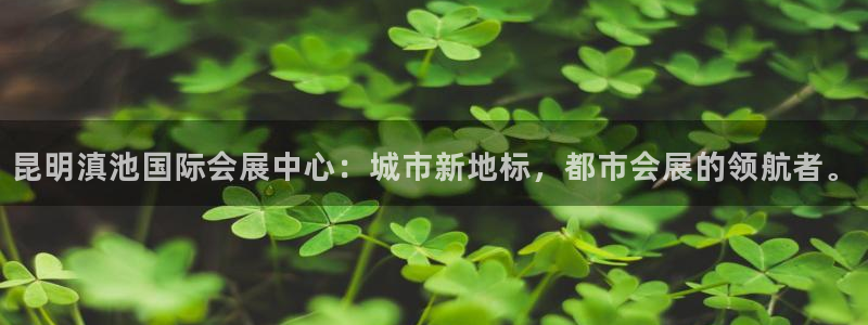 果博注册客服电话号码是多少：昆明滇池国际会展中心：城市新地标，都市会展的领航者。