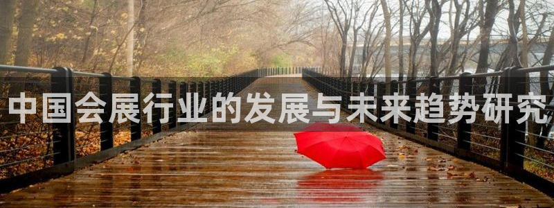 果博怎么注册账号和密码：中国会展行业的发展与未来趋势研究