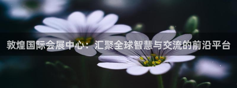 果博官网电话：敦煌国际会展中心：汇聚全球智慧与交流的前沿平台