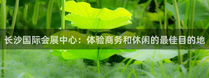 果博公司客服微信号是多少：长沙国际会展中心：体验商