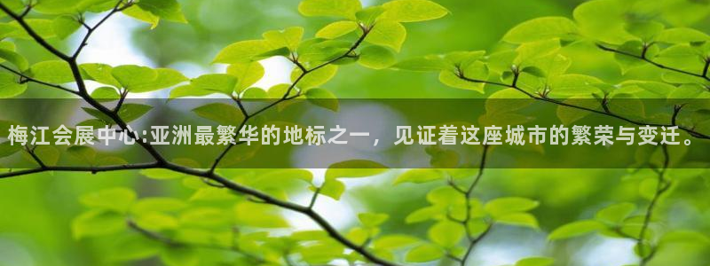 果博注册：梅江会展中心:亚洲最繁华的地标之一，见证着这座城市的繁荣与变迁。