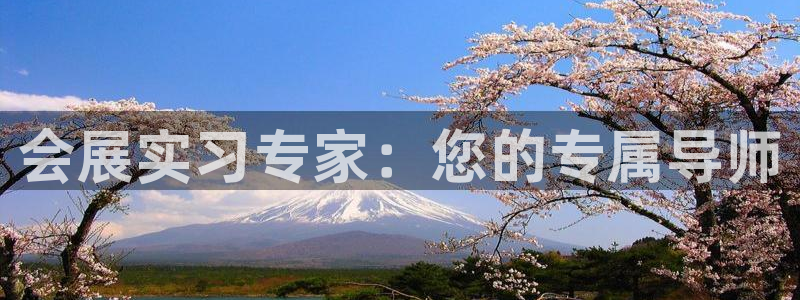 果博公司在线客服：会展实习专家：您的专属导师
