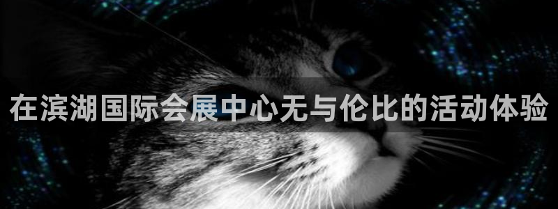 下载果博：在滨湖国际会展中心无与伦比的活