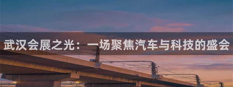 果搏代理：武汉会展之光：一场聚焦汽车与科技的盛会