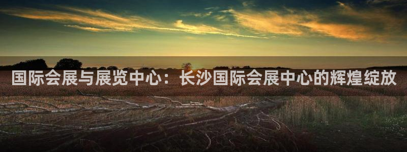 果博公司客服电话：国际会展与展览中心：长