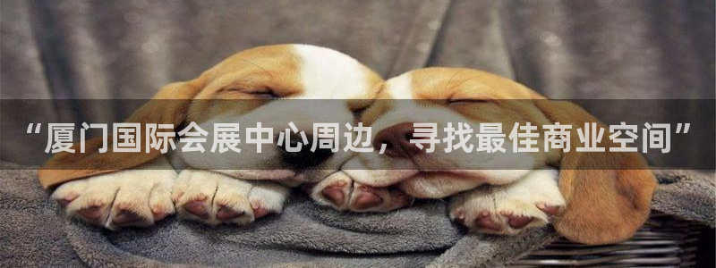 果博公司客服联系方式：“厦门国际会展中心