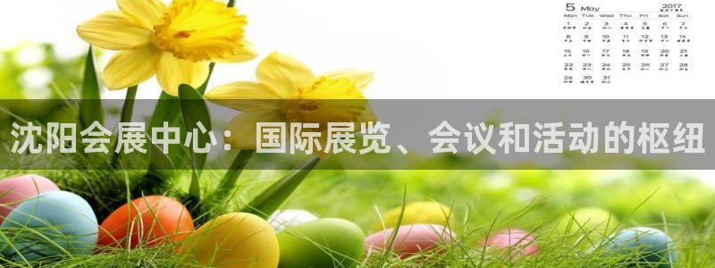 果博公司直属会员开户