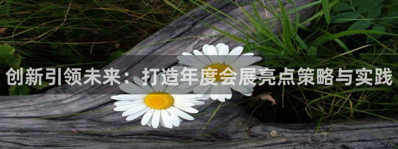 果博平台链接：创新引领未来：打造年度会展