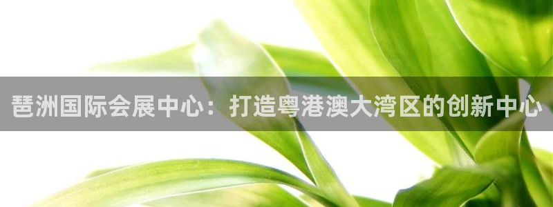 果博平台链接：琶洲国际会展中心：打造粤港